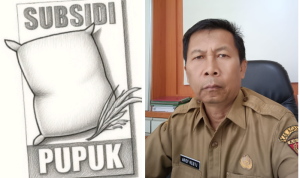 Screenshot_2025_1116_131308