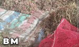 IMG-20251230-WA0021(1)