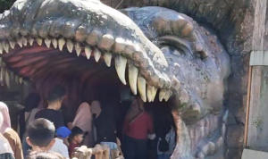 Screenshot_2025_1218_193244